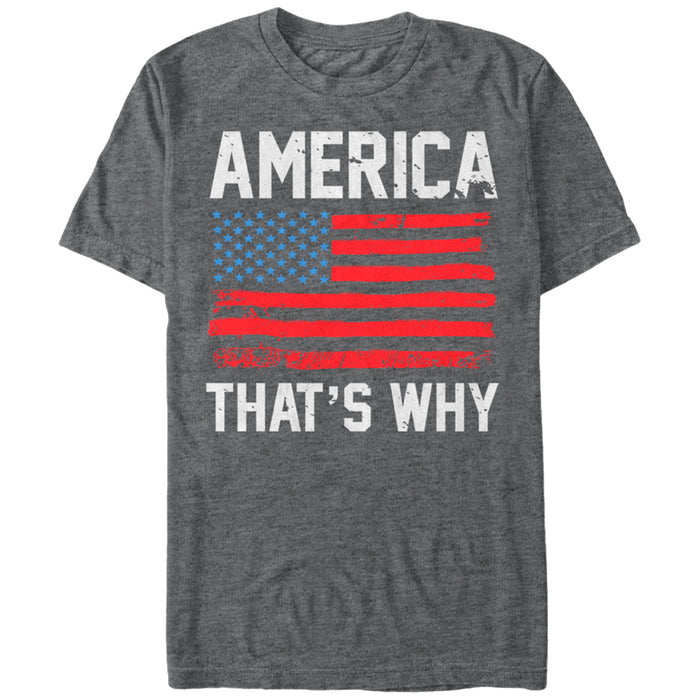 fifth sun Men's Lost Gods Fourth of July America That's Why T-Shirt
