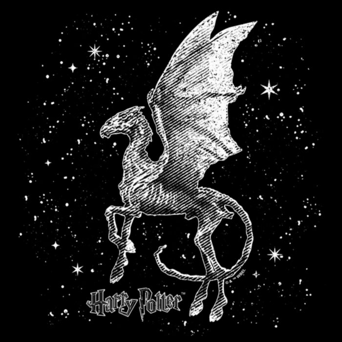 Fifth Sun Women's Harry Potter Black And White Thestral T-Shirt