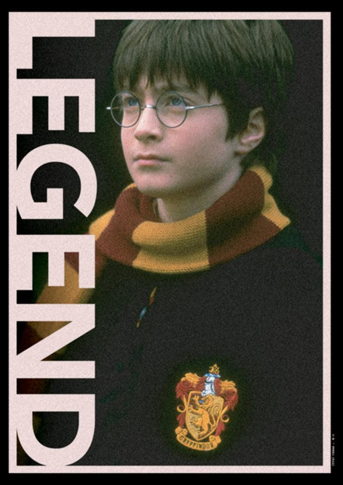 Fifth Sun Women's Harry Potter Gryffindor Legend Portrait T-Shirt
