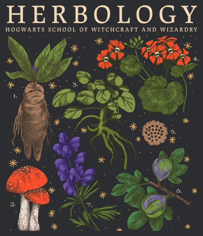 Fifth Sun Women's Harry Potter Hogwarts Herbology Racerback Tank Top