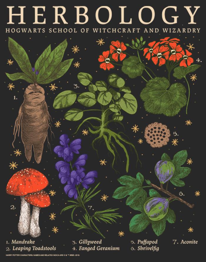 Fifth Sun Women's Harry Potter Hogwarts Herbology T-Shirt