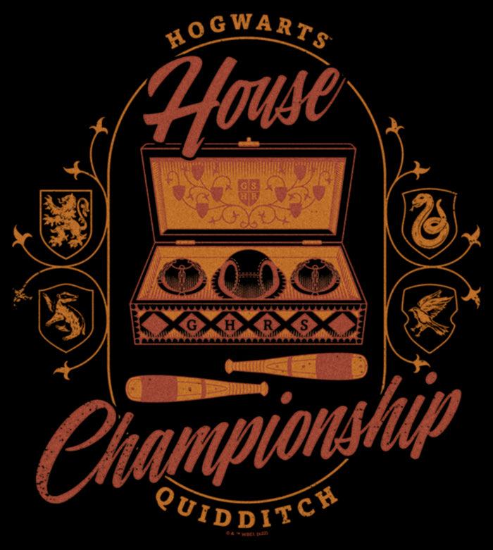 Fifth Sun Women's Harry Potter Hogwarts House Championship T-Shirt